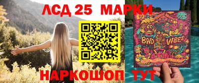 МДПВ Бердск