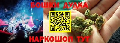 МДПВ Бердск
