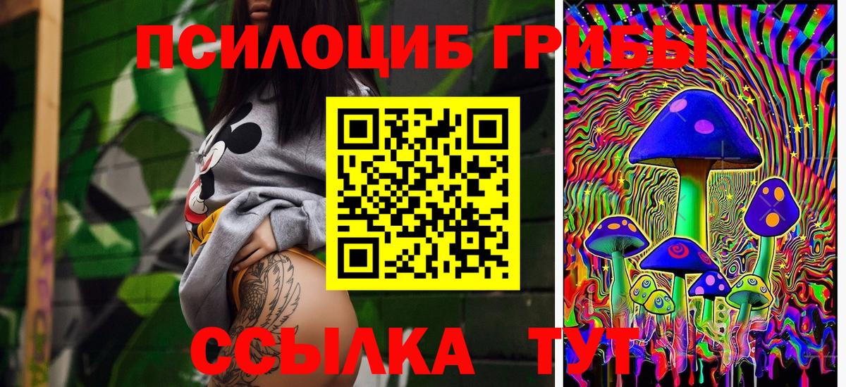 Псилоцибиновые грибы мицелий Аргун