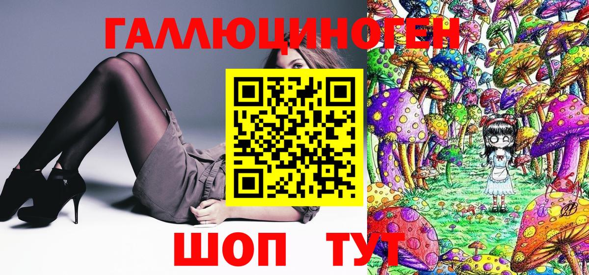 где купить наркотик  Галлюциногенные грибы GOLDEN TEACHER  Псилоцибиновые грибы ЛСД  Вход с VPN  Аргун 